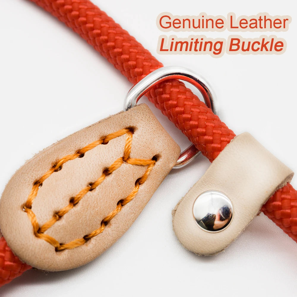 P Chain Dog Leash Slip Collar Pet Walking Leads Nylon Dog Mountain Climbing Rope Puppy Pet Traction for Small Medium Large Dogs