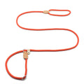 P Chain Dog Leash Slip Collar Pet Walking Leads Nylon Dog Mountain Climbing Rope Puppy Pet Traction for Small Medium Large Dogs