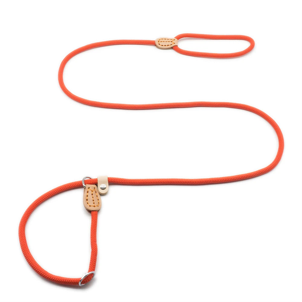 P Chain Dog Leash Slip Collar Pet Walking Leads Nylon Dog Mountain Climbing Rope Puppy Pet Traction for Small Medium Large Dogs