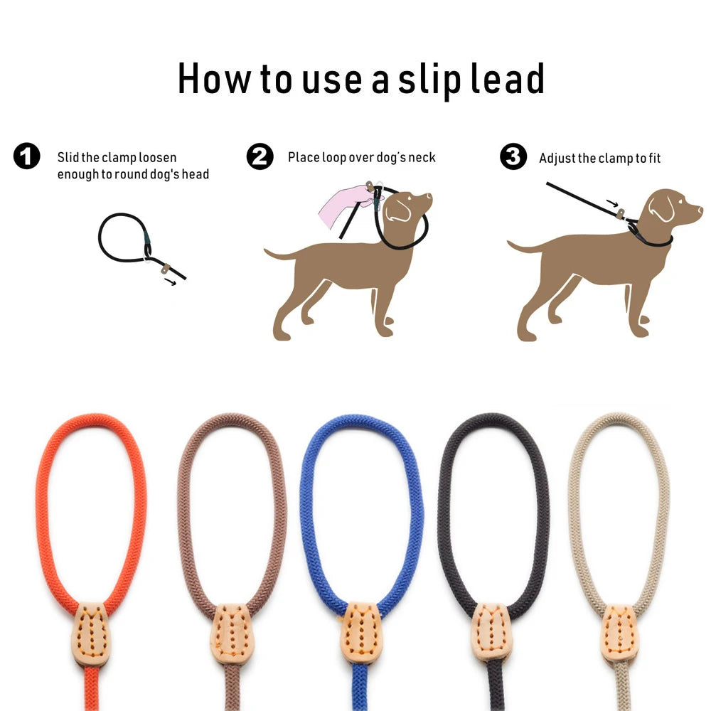 P Chain Dog Leash Slip Collar Pet Walking Leads Nylon Dog Mountain Climbing Rope Puppy Pet Traction for Small Medium Large Dogs