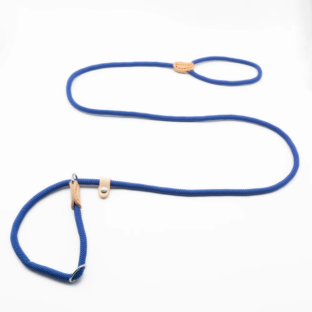 P Chain Dog Leash Slip Collar Pet Walking Leads Nylon Dog Mountain Climbing Rope Puppy Pet Traction for Small Medium Large Dogs