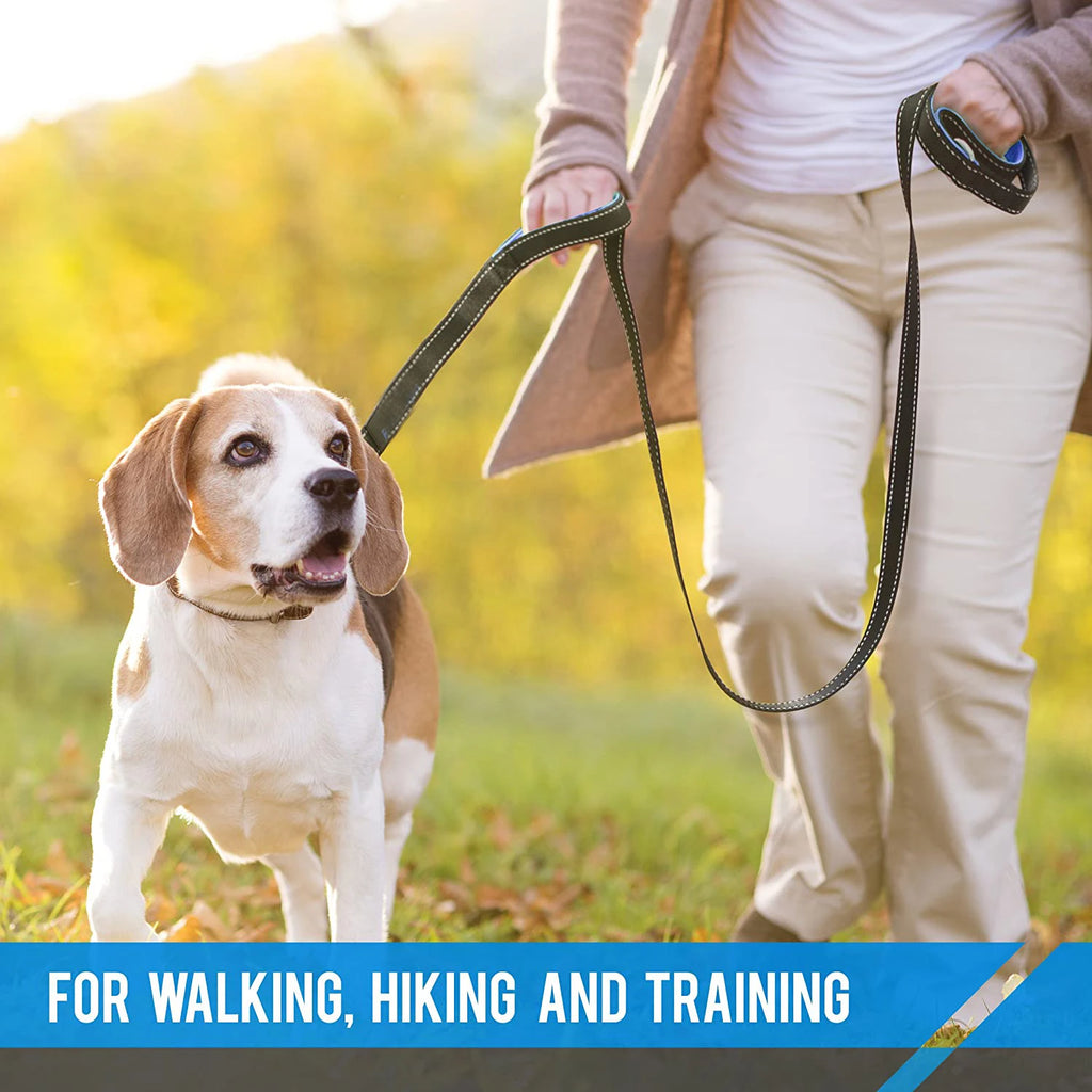 Dog Leashes Outdoor Travel Dog Training Chain Rope Heavy Duty Double Handle Lead for Greater Control Safety Training Dual Handle