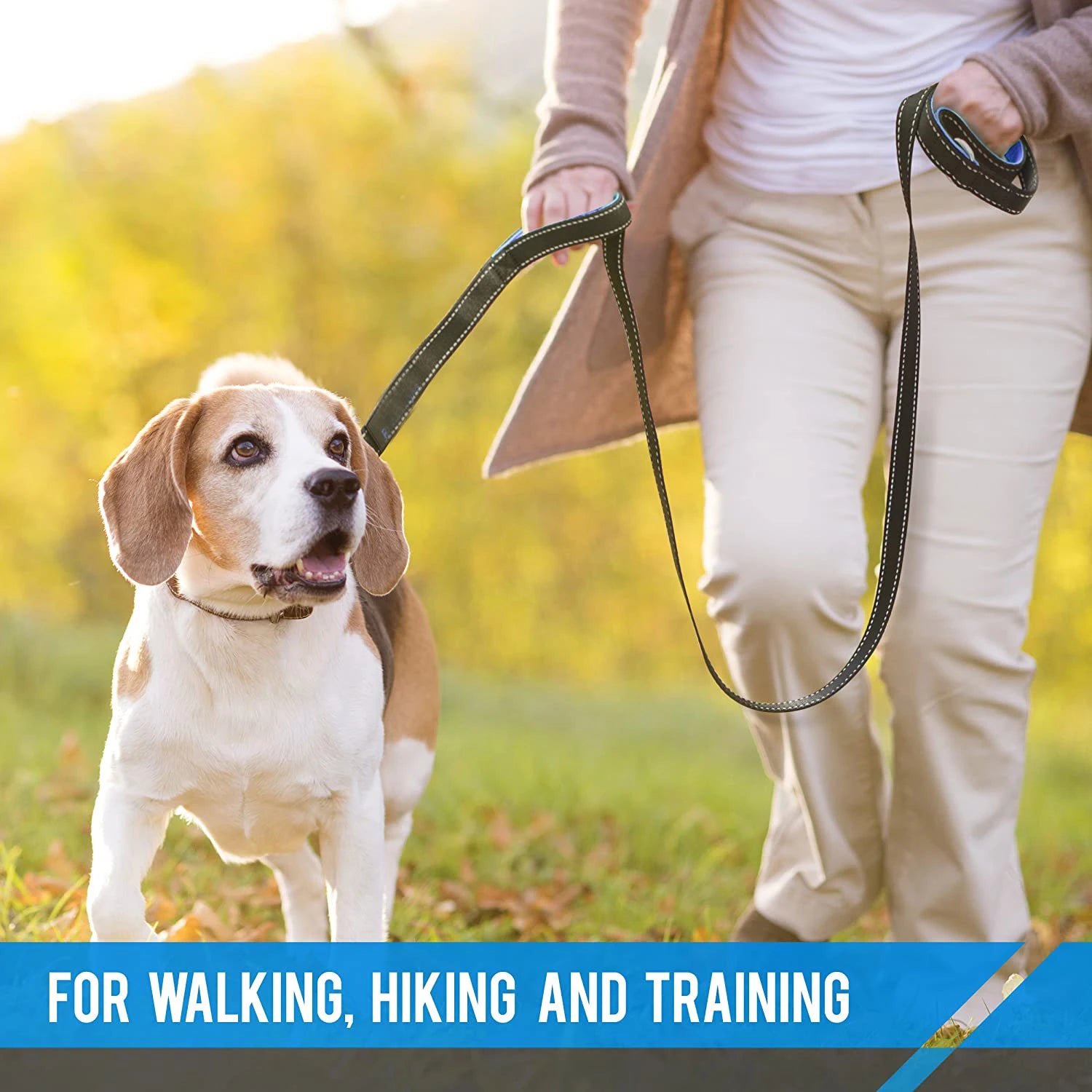 Dog Leashes Outdoor Travel Dog Training Chain Rope Heavy Duty Double Handle Lead for Greater Control Safety Training Dual Handle