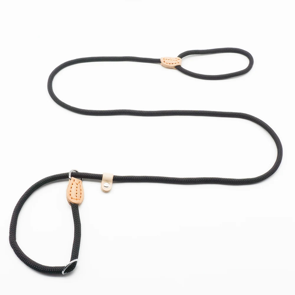 P Chain Dog Leash Slip Collar Pet Walking Leads Nylon Dog Mountain Climbing Rope Puppy Pet Traction for Small Medium Large Dogs