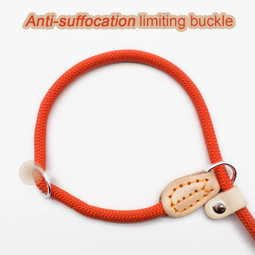 P Chain Dog Leash Slip Collar Pet Walking Leads Nylon Dog Mountain Climbing Rope Puppy Pet Traction for Small Medium Large Dogs